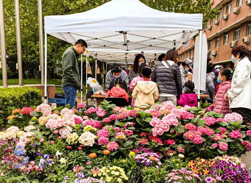 第五屆農科開放日推動科技科普惠農
