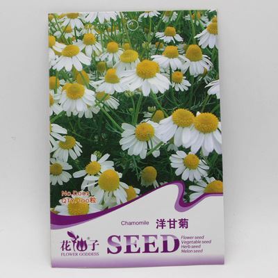 草花彩袋種子 彩包花卉種子【洋甘菊】家庭種植實用裝 約50粒-宿遷市國豪園林工程提供草花彩袋種子 彩包花卉種子【洋甘菊】家庭種植實用裝 約50粒的相關介紹、產品、服務、圖片、價格宿遷市國豪園林工程、種苗、花卉種子、園藝用具、盆栽、綠化苗木