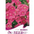 矮牽牛花卉種子 - 所有類別 - 亞馬遜