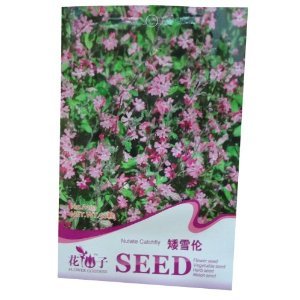 錦萱 花仙子系列 矮雪倫種子 別名大蔓櫻花 家庭種植實用裝 庭院別墅 陽臺室內盆栽花卉種子 庭院花種子 瓜果蔬菜種子 【錦萱】 價格 報價 圖片