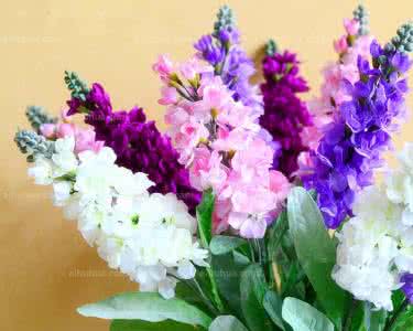 【供應北京LVXIN牌宿根花卉種子飛燕草】圖片,海量精選高清圖片庫