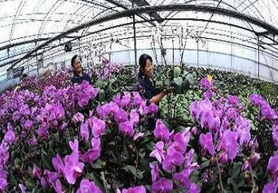 太牛了 常州這個區再次被國家看上,身價將暴漲