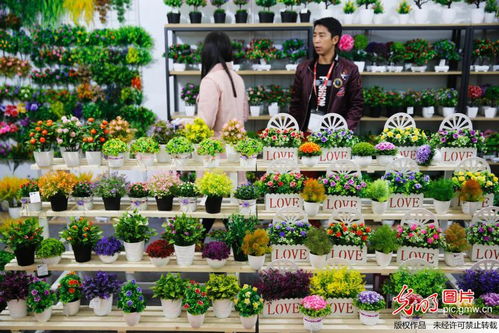 第53屆全國工藝品交易會 數百種仿真花卉引醉客商