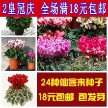 最新最全報(bào)春花種子產(chǎn)品參考信息